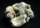 Delcampe - Chlorargyrite On Willemite ( 1.5 X 1.5 X 1 Cm ) Commercial Cramer Mine - Grant County - New Mexico - USA - Minéraux