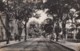 Para-Belem Brazil, Avenida S. Jeronymo, Street Car Tracks, Street Scene C1910s/20s Vintage Postcard - Belém