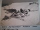 Delcampe - HOMME ENSEVELI SOUS LE SABLE PLAGE FLEUVE CONGO LÉOPOLDVILLE  MAILLOT SWIMSUIT COSTUMI DI BAGNO 12 PHOTOS - Lieux
