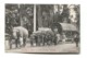 Ceylon - Sending A Boiler To A Tea Factory, Pulled By Elephants - Old Postcard - Sri Lanka (Ceylon)