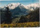 Panorama Sur Le Massif Du Mont-Blanc  - (Haute-Savoie) - Chamonix-Mont-Blanc
