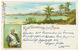 1900 5pf Canc. APIA On Card (Gruss In Color MALIETOA) To POSTDAM. Signed LANTELME. Vf. - Samoa