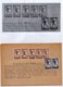 24.02.1919. KINGDOM OF SHS, CHAIN BREAKERS, VERIGARI, ZEMUN, 6 STAMPS WITH ERROR, POSTAL STAMPS AS REVENUE - Covers & Documents