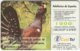 SPAIN B-317 Chip Telefonica - Animal, Bird - Used - Sonstige & Ohne Zuordnung