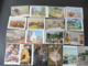 LOT   DE   360   CARTES  POSTALES     REPRODUCTIONS    DE   TABLEAUX - 100 - 499 Cartes