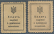 Ukraina / Ukraine: Set With 20 And 40 Shahiv Stamp Money Issue ND(1918), P.8, 10, Both With Lightly - Ukraine