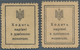 Ukraina / Ukraine: Set With 20 And 40 Shahiv Stamp Money Issue ND(1918), P.8, 10, Both With Lightly - Oekraïne