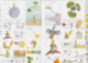 Le Petit Prince Stickers - Other & Unclassified