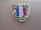 PIN'S   POLICE  Anciens Combattants De La Police A A C P N - Polizia