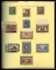 ** 1900/2000: Collection De Timbres Neufs** Depuis 1900 (quelques Sage Et Divers En Neufs), Quasi Complet Dont Mouchon, - Collezioni