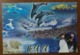 Beluga Whale,polar Beer,penguin,dolphin,shark,fish,CN 12 Dalian Ocean World Aquarium Advertising Pre-stamped Card - Dolphins