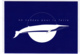 Carte (totalement Imprimée), La Baleine Bleue, Un Cadeau Pour La Terre, Ballena Whale - Autres & Non Classés