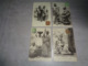 Beau Lot De 50 Cartes Postales D' Afrique Africa Afrika   Dakar  Sénégal  Saint Louis - 5 - 99 Karten