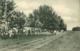 Malay Malaysia, LABUAN BORNEO, Road To The Race Course (1910s) Postcard (1) - Malesia