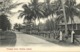 Malay Malaysia, LABUAN VICTORIA BORNEO, Principal Street, Palm (1910s) Postcard - Malaysia