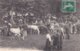 Montargis : Marché De Chevaux Sur Le Pâtis - Montargis