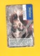 CHIPCARD SPAIN SERIE FAUNA IBÉRICA "ARDILLA" P531 - EX: 8000 - NEW/NOT USED - Privatausgaben