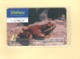 CHIPCARD SPAIN SERIE FAUNA IBÉRICA "RANA BERMEJA"  P565 - EX: 4000 - MINT/SEALED - Emissions Privées