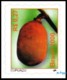 Ref. BR-2762-63 BRAZIL 2000 FRUITS, CAPUACU AND SOURSOP,, NATURE, MI# 3057-58, MNH 2V Sc# 2762-2763 - Fruits