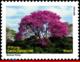 Ref. BR-3140E BRAZIL 2010 ANIMALS, FAUNA, PANTANAL,TREE IPE PURPLE,, DEPERSONALIZED MNH 1V Sc# 3140 - Arbres