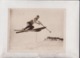 MURREN SWISS MID AIR  SKI JUMPING COMPETITION SWITZERLAND  21*16CM Fonds Victor FORBIN 1864-1947 - Deportes