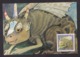Australia: Stationery Picture Postcard To Poland, Phantasy Creature, No Cancel, Imprinted Air Label (traces Of Use) - Brieven En Documenten