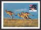 Australia: Stationery Picture Postcard To Germany, 2004, Kangaroo, Animal, Air Label (traces Of Use) - Brieven En Documenten