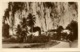 Malay Malaysia, PERAK IPOH, Anderson Road Cave (1930s) RPPC Postcard - Maleisië