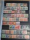 Lot N° T 736 POLOGNE Tres Bon Lot De Timbres Neufs** La Plupart - Colecciones (en álbumes)