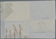 Französisch-Indochina: 1869, Incoming Mail: Folded Entire Letter (folds) With Red Cds "BREMEN F 20 1 - Covers & Documents