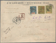 Französisch-Indochina: 1896, 1 Fr., 15 C. In Mixed Franking With French Colonies General Issue 20 C. - Brieven En Documenten