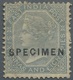 Indien: 1866 QV 6a8p. Slate Optd. "SPECIMEN" In Black, Unused Without Gum, With A Little Thin On Bac - Other & Unclassified