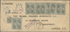 Malaiische Staaten - Sarawak: 1910, 21 Stamps 2c Green In Blocks And Stripes (one Single) On Registe - Sonstige & Ohne Zuordnung