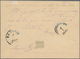 Niederländisch-Indien: 1878 (ca.), Moquette Surcharges: "Vijf Cent" In Red On Stationery Card Willem - Netherlands Indies