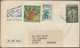 Delcampe - Vietnam-Nord (1945-1975): 1968 (ca.): Mixed Frankings: A) Xunhasaba Folded Bulletin That Announces T - Vietnam