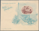 Thematik: Eisenbahn / Railway: 1899, Argentina. Lot Of 3 Entire New Years Covers 5c In The Same Desi - Eisenbahnen