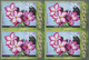 Thematik: Flora, Botanik / Flora, Botany, Bloom: 2006, Bahamas. Imperforate Block Of 4 For The 25c V - Andere & Zonder Classificatie