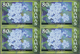 Thematik: Flora, Botanik / Flora, Botany, Bloom: 2006, Bahamas. Imperforate Block Of 4 For The 80c V - Other & Unclassified