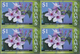 Thematik: Flora, Botanik / Flora, Botany, Bloom: 2006, Bahamas. Imperforate Block Of 4 For The $1 Va - Andere & Zonder Classificatie