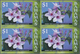 Thematik: Flora, Botanik / Flora, Botany, Bloom: 2006, Bahamas. Imperforate Block Of 4 For The $1 Va - Other & Unclassified