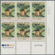 Thematik: Flora-Obst + Früchte / Flora-fruits: 1991, FRENCH POLYNESIA: Pineapple (Ananas Sativus) 42 - Obst & Früchte
