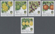 Thematik: Flora-Obst + Früchte / Flora-fruits: 2004/2007, BRITISH VIRGIN ISLANDS: Definitive Issue ' - Fruit