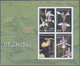 Thematik: Flora-Orchideen / Flora-orchids: 2006, Togo. IMPERFORATE Miniature Sheet For The Issue "Or - Orchideen