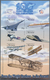 Thematik: Flugzeuge, Luftfahrt / Airoplanes, Aviation: 2003, MICRONESIA: 100 Years Of Aviation Celeb - Airplanes