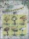 Thematik: Pilze / Mushrooms: 2009, DOMINICA: Mushrooms Complete Set Of Four In Two Vertical Gutter P - Mushrooms