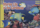 Thematik: Tiere-Fische / Animals-fishes: 2003, ST. VINCENT - UNION ISLAND: Marine Life Of The Caribb - Vissen