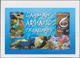 Thematik: Tiere-Fische / Animals-fishes: 2006, CAYMAN ISLANDS: Sea Animals Complete Set Of Five (fis - Fische