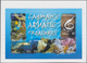 Thematik: Tiere-Fische / Animals-fishes: 2006, CAYMAN ISLANDS: Sea Animals Complete Set Of Five (fis - Fishes