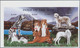 Thematik: Tiere-Hunde / Animals-dogs: 1999, ZAMBIA: Dogs Set In Two Perforate And IMPERFORATE Sheetl - Dogs