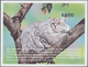 Thematik: Tiere-Katzen / Animals-cats: 1999, ZAMBIA: Cats Set In Of Two IMPERFORATE Miniature Sheets - Domestic Cats